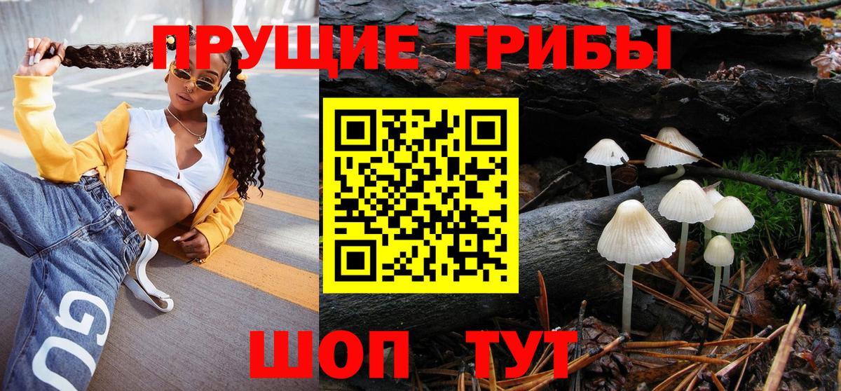 Галлюциногенные грибы Cubensis  Вход с VPN  Пенза 